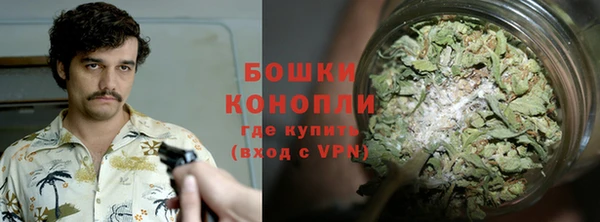 эйфоретик Белокуриха