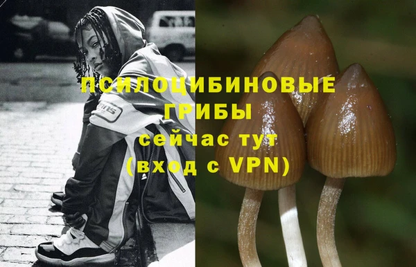 эйфоретик Белокуриха