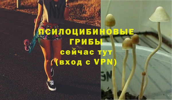 первитин Беломорск