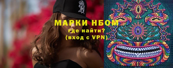 эйфоретик Белокуриха