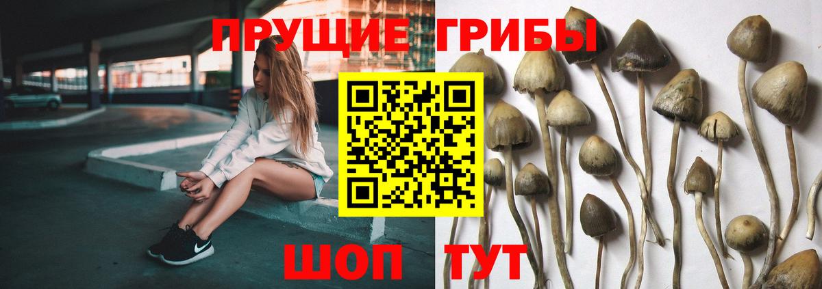 Псилоцибиновые грибы мухоморы Бузулук